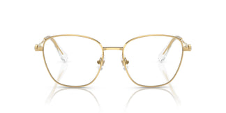 Swarovski SK1019 4004 54