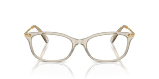 Swarovski SK2017 3003 52