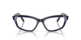 Swarovski SK2034 1004 54