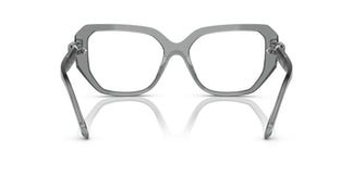 Swarovski SK2035 1062 55