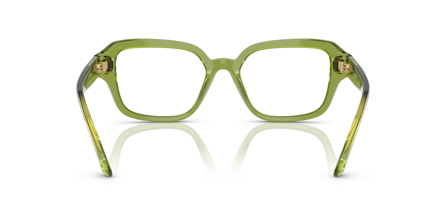 Swarovski SK2039 3002 50
