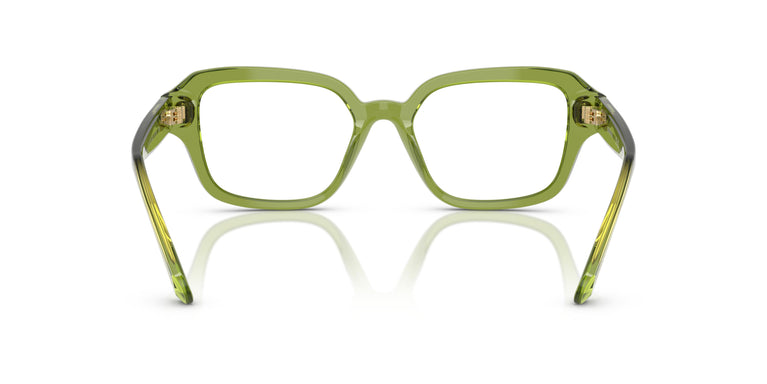 Swarovski SK2039 3002 50