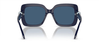 Swarovski SK6001 100455 55