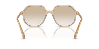 Swarovski SK6003 103411 57