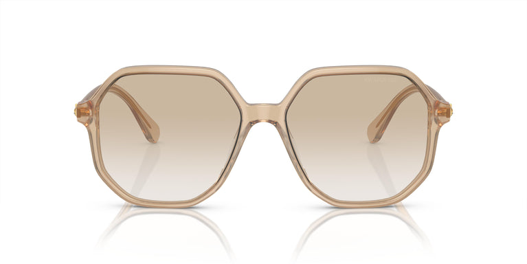 Swarovski SK6003 103411 57