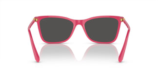 Swarovski SK6004 103687 55