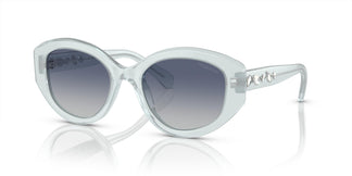 Swarovski SK6005 10244L 53