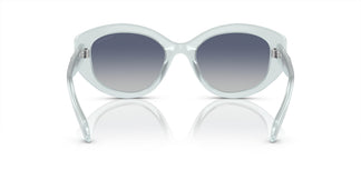 Swarovski SK6005 10244L 53