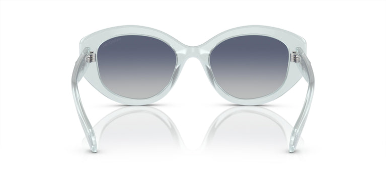 Swarovski SK6005 10244L 53