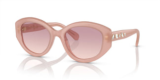Swarovski SK6005 102568 53