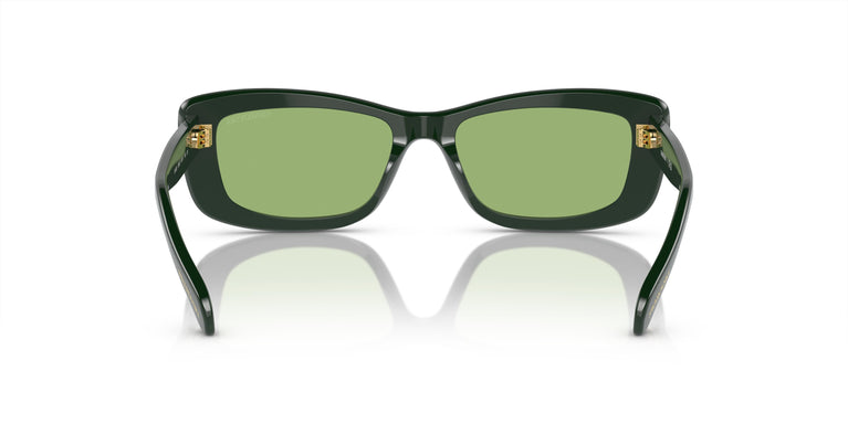 Swarovski SK6008 1026/2 54