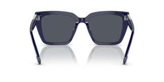 Swarovski SK6013 101887 54