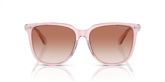 Swarovski SK6015D 300113 55