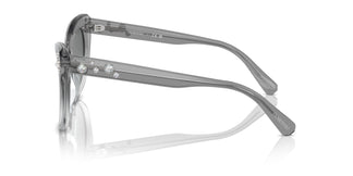 Swarovski SK6020 104611 55