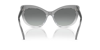 Swarovski SK6020 104611 55