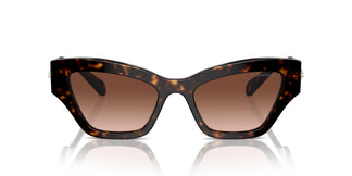 Swarovski SK6021 10023B 53