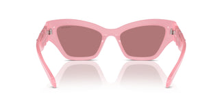 Swarovski SK6021 2001E4 53