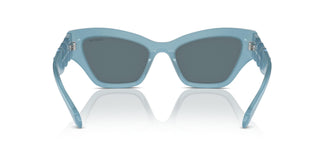 Swarovski SK6021 20046J 53