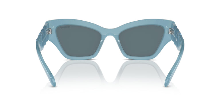 Swarovski SK6021 20046J 53