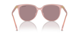 Swarovski SK6023D 10311N 56