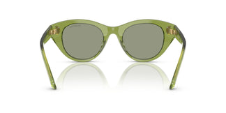 Swarovski SK6025 3002/2 47