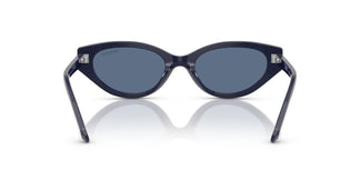 Swarovski SK6030 100455 52