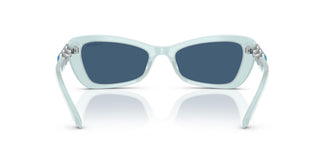 Swarovski SK6033 102455 54