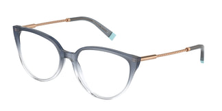 Tiffany TF2206 8298 53