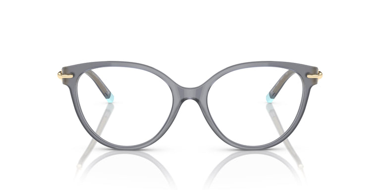 Tiffany & Co. TF2217 8399 53
