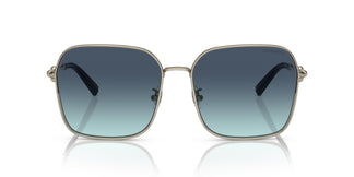 Tiffany & Co. TF3093D 60219S 60