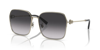Tiffany & Co. TF3093D 61903C 60
