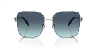 Tiffany & Co. TF3094 60019S 58
