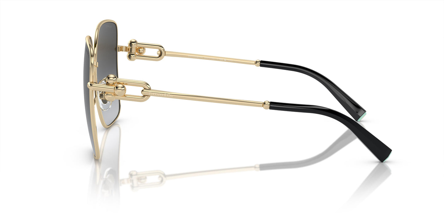 Tiffany & Co. TF3094 6198T3 58