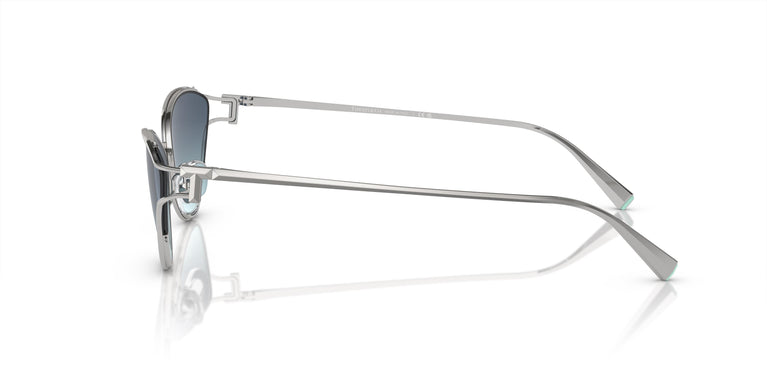 Tiffany & Co. TF3095 60019S 61