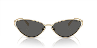 Tiffany & Co. TF3095 6021S4 61