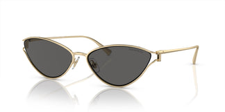 Tiffany & Co. TF3095 6021S4 61
