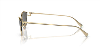Tiffany & Co. TF3095 6021S4 61