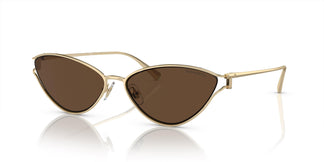 Tiffany & Co. TF3095 61933G 61