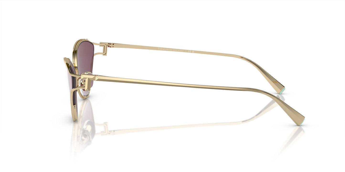 Tiffany & Co. TF3095 6194AK 61