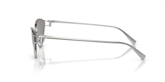 Tiffany & Co. TF3095 61956G 61