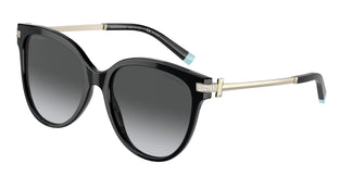 Tiffany & Co. TF4193B 8001T3 55