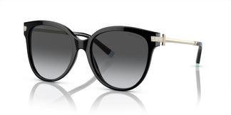 Tiffany & Co. TF4193B 8001T3 55