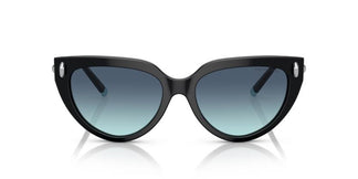 Tiffany & Co. TF4195 80019S 54