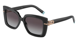 Tiffany & Co. TF4199 80013C 53