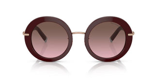 Tiffany & Co. TF4201 83549T 50