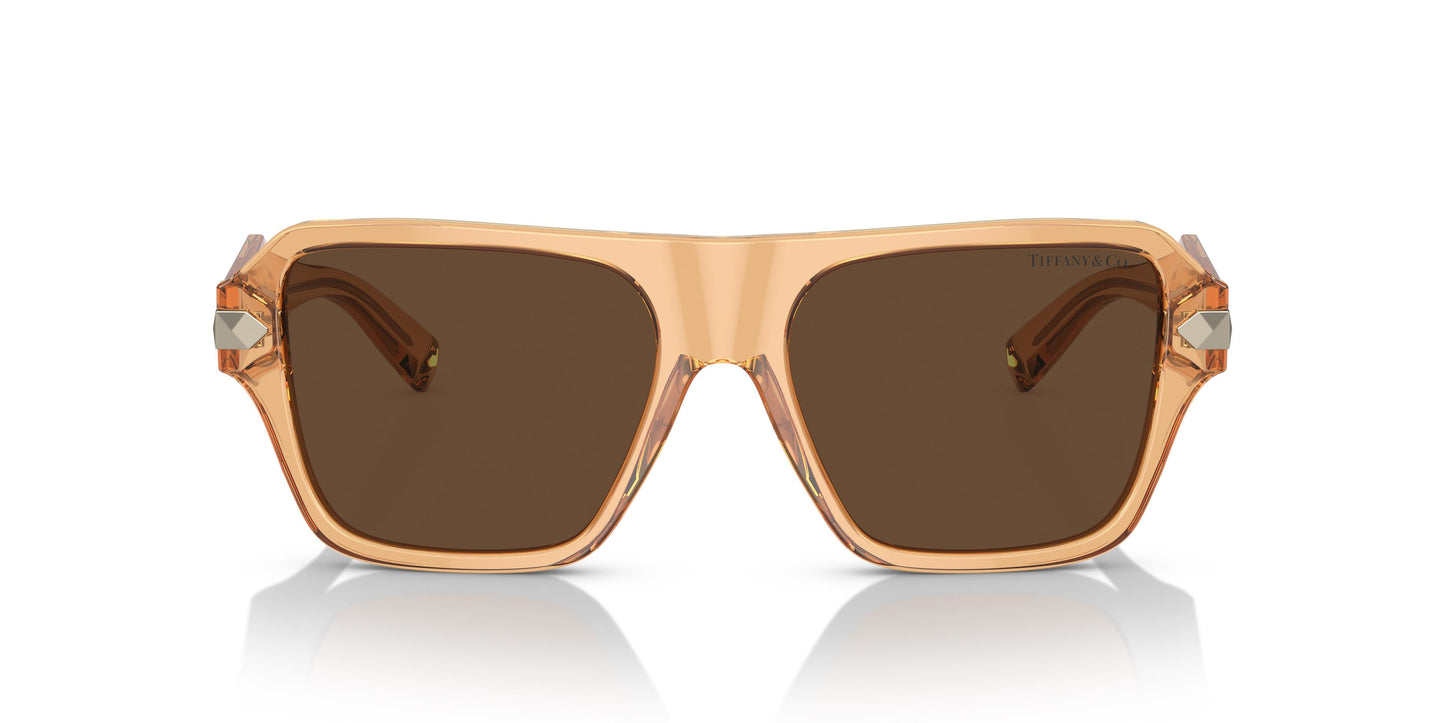 Tiffany TF4204 83773G 54