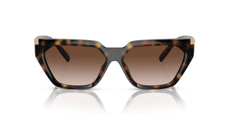 Tiffany TF4205U 80153B 56