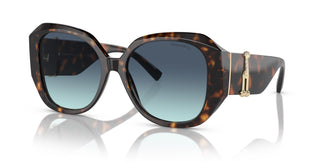 Tiffany & Co. TF4207B 80159S 55