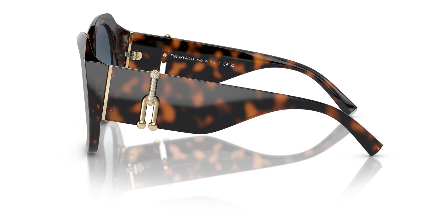 Tiffany & Co. TF4207B 80159S 55