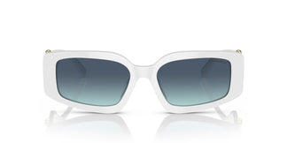 Tiffany & Co. TF4208U 83579S 54